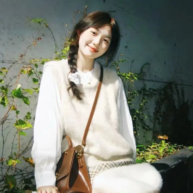 燕南飞，燕难归